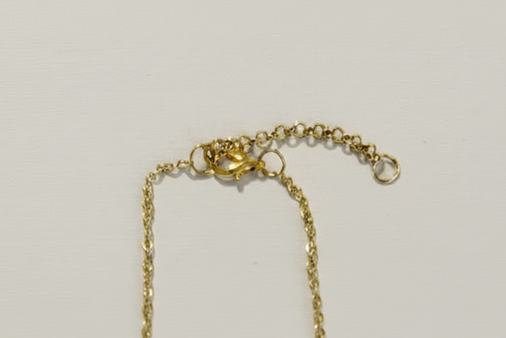 A close-up of a gold-toned chain necklace with a lobster clasp and extension link, shown on a plain light background.